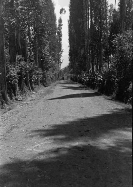 Hacienda near Alangasi