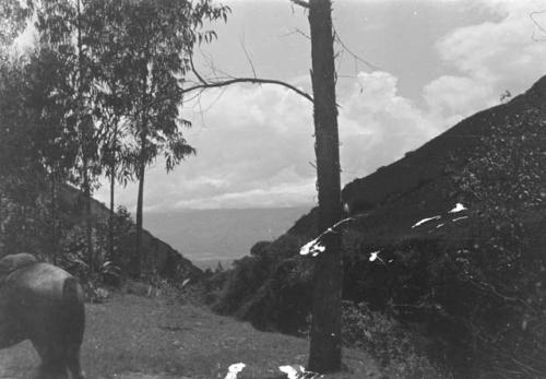 Road to Zambisa from Quito