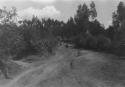 Road from Zambisa to Quito