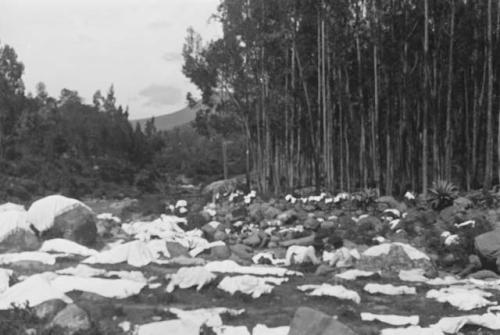 Unidentified -- (woman washing clothes in Rio Ibarra?)