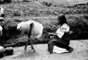 Woman spinning wool