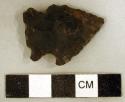 Chipped stone, projectile point, asymmetrical - side-notched and corner-notched