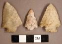 Chipped stone, projectile points, corner-notched, one possibly partially serrated