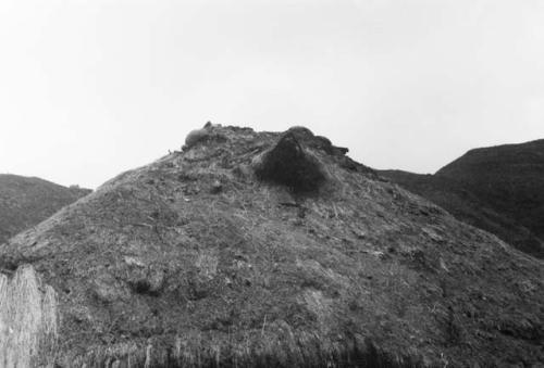 Roof construction showing smoke hole