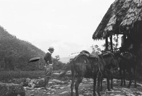 Expedition riding mules on road into Oriente province