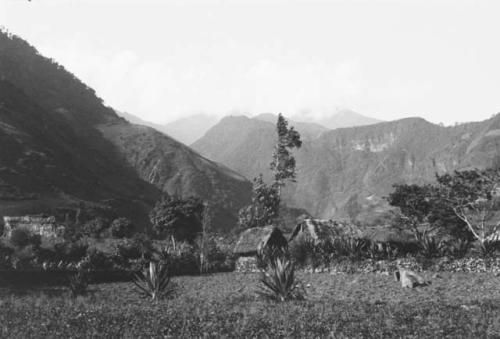 Views of Quichua indian houses in environs of Banos