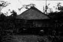 Typical rest-house on jungle trail to head of Napo River