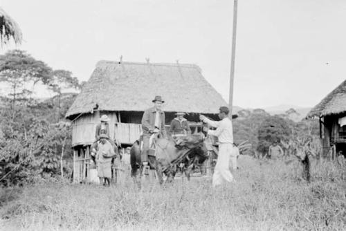 Members of expedition on oxen at Puyo