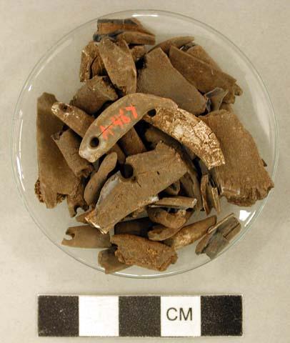 Perforated animal teeth fragments; shark teeth fragments; mica fragments; animal bone fragments