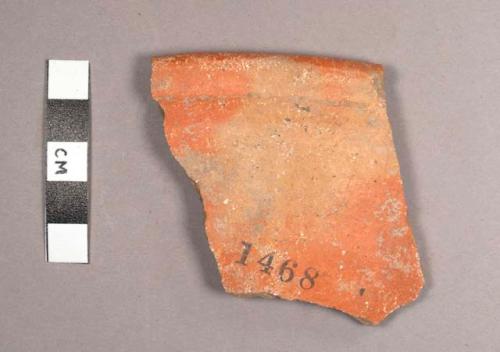 Sierra Red Potsherd: Variety Unspecified