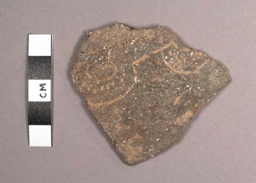 Paila Creek Unslipped Potsherd: Variety Unspecified