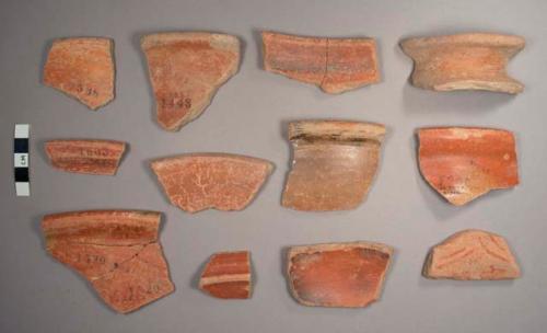 Sierra Red Potsherds: Variety Unspecified