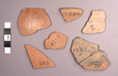 San Antonio Golden-brown Potsherds: Variety Unspecified (Thin-walled)