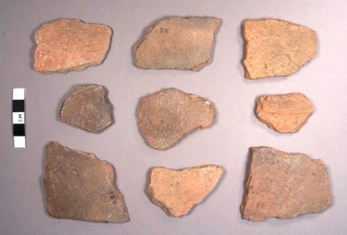 Stumped Creek Striated Potsherds: Socotz Brown Thick-walled Variety