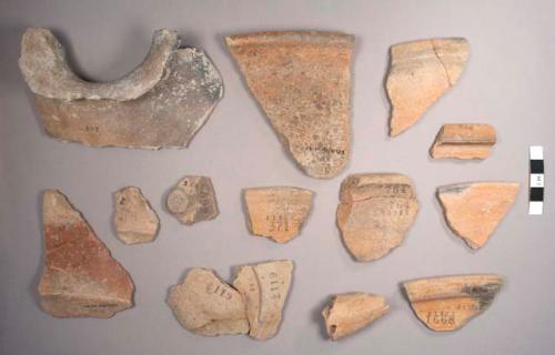 San Antonio Golden-brown Bowl Sherds: San Antonio Variety