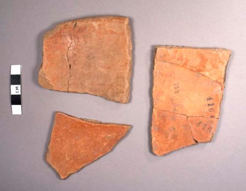 Golden Brown: San Antonio Potsherds