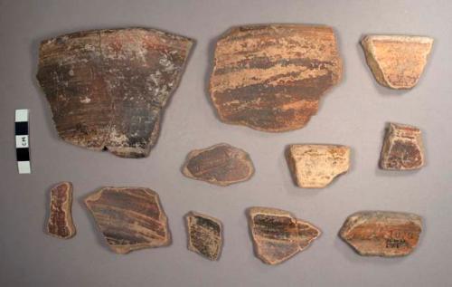 Sierra Red Potsherds: Society Hall Variety