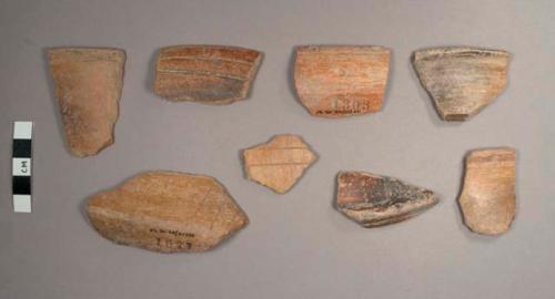 Laguna Verde Incised Potsherds: Variety Unspecified