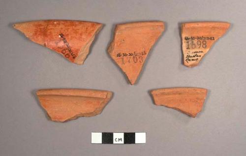 Savana Orange Potsherds:  Variety Unspecified?