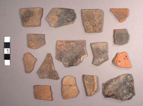 Barton Ramie Potsherds: Assorted Varieties