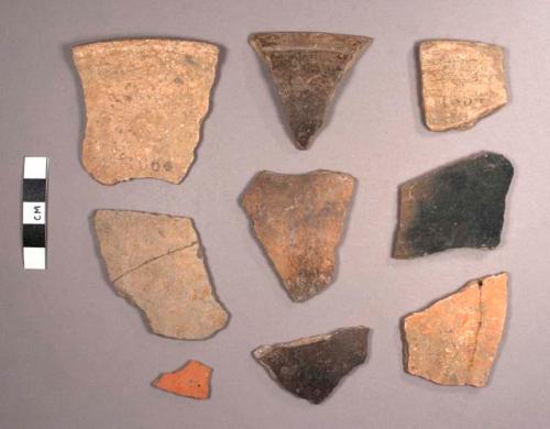 Barton Ramie Potsherds: Assorted Varieties