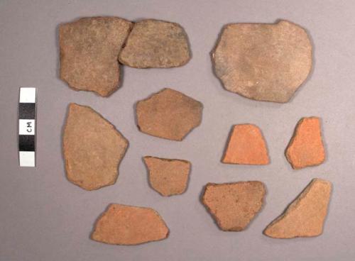 Jocote Potsherds: Assorted Varieties