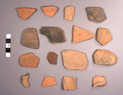 Jocote Potsherds: Assorted Varieties