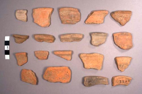 Jocote Potsherds: Assorted Varieties