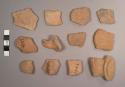 Jocote Potsherds: Assorted Varieties