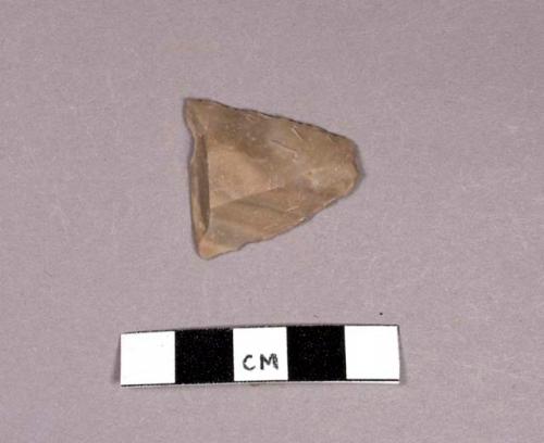 Flint projectile point fragment