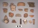 Assorted ceramic  sherds and organics