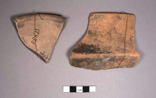 Fragments of pottery