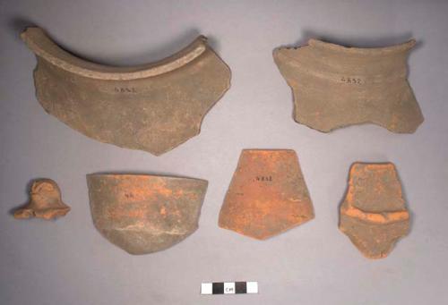 Fragment of pottery