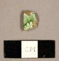 Creamware sherd with green flower transfer print