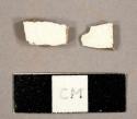 Whiteware sherds