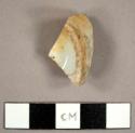 Porcelain sherd