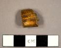 Faunal tooth fragment