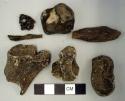 Charred faunal bones- fish and mammal