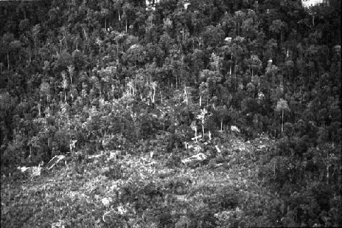 Karl Heider negatives, New Guinea