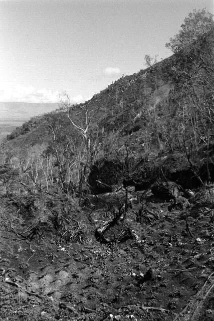 Karl Heider negatives, New Guinea