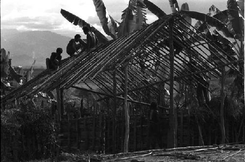 Karl Heider negatives, New Guinea