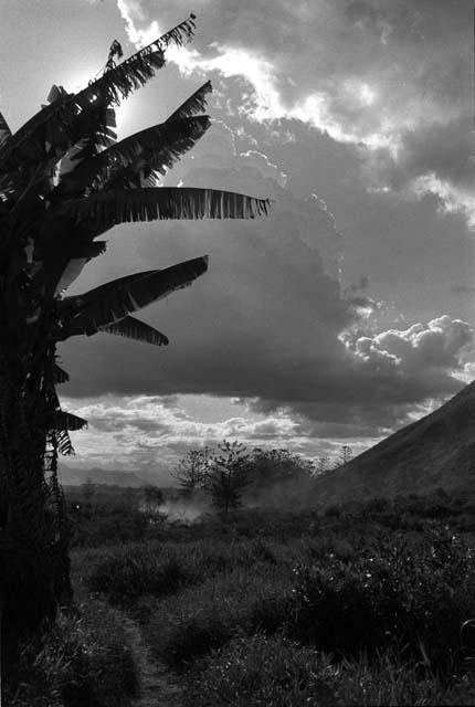 Karl Heider negatives, New Guinea