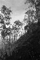 Karl Heider negatives, New Guinea