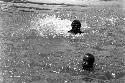 (unknown), Wimogo, Hele swiming in Aikhe