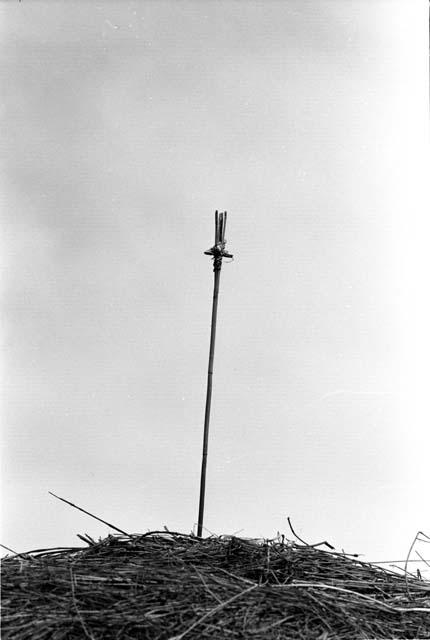 Pronged bird arrow projecting from roof of Biam ebeai - ghost protection?