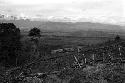 Dalegoba, the new village built on S slope of Dutoba Hill, where many of the locals have moved after fight which ended in killing of Ogen by Um'ue (or Egali). and gardens