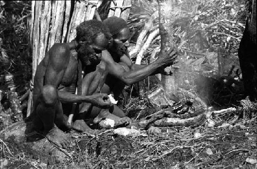 Karl Heider negatives, New Guinea