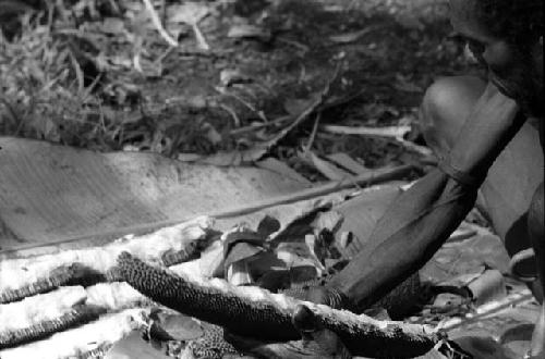 Lelhiluk scrapes inner pith from split section of red pandanus (dakk)