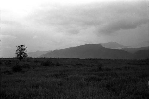 Dumakonem. same. beyond auracaria tree watchtower, ent to Pass Valley.