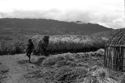 Dumakonem. women bring thatch to yard.